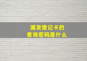 浦发借记卡的查询密码是什么