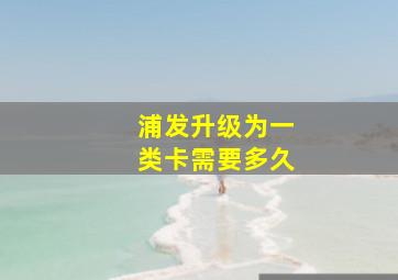 浦发升级为一类卡需要多久