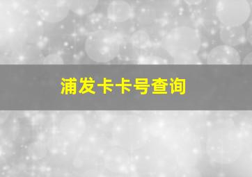 浦发卡卡号查询