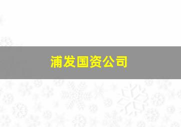 浦发国资公司