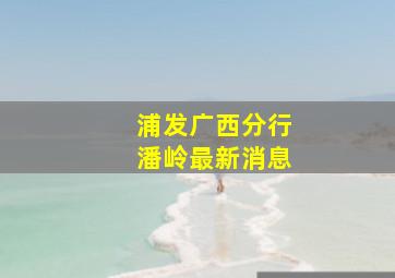 浦发广西分行潘岭最新消息