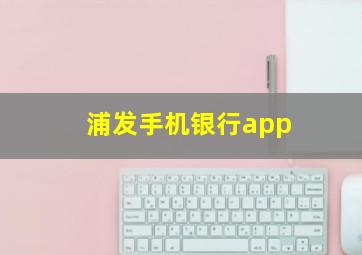 浦发手机银行app