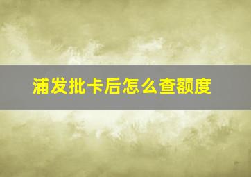 浦发批卡后怎么查额度