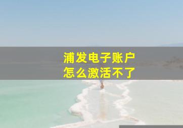 浦发电子账户怎么激活不了