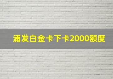 浦发白金卡下卡2000额度