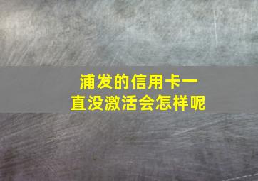 浦发的信用卡一直没激活会怎样呢