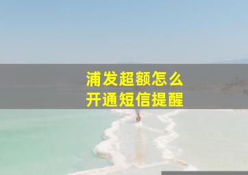 浦发超额怎么开通短信提醒