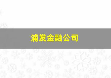 浦发金融公司