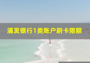 浦发银行1类账户刷卡限额