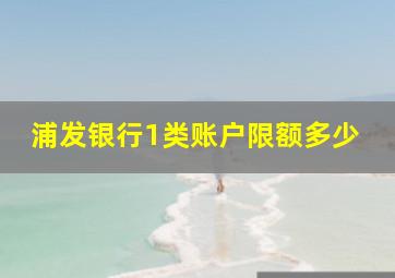 浦发银行1类账户限额多少