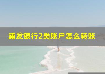 浦发银行2类账户怎么转账