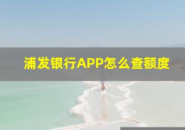 浦发银行APP怎么查额度