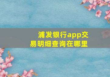 浦发银行app交易明细查询在哪里