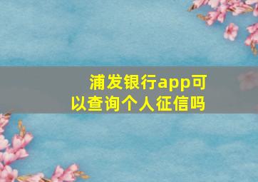 浦发银行app可以查询个人征信吗