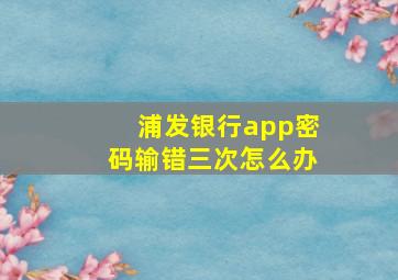 浦发银行app密码输错三次怎么办