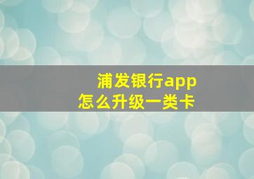 浦发银行app怎么升级一类卡