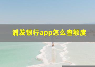 浦发银行app怎么查额度