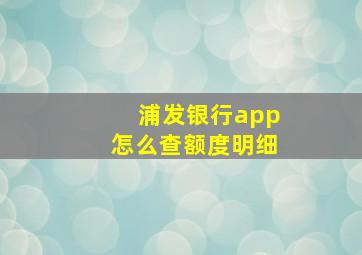 浦发银行app怎么查额度明细