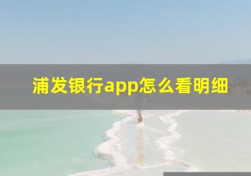 浦发银行app怎么看明细