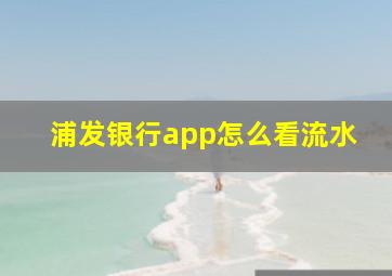 浦发银行app怎么看流水