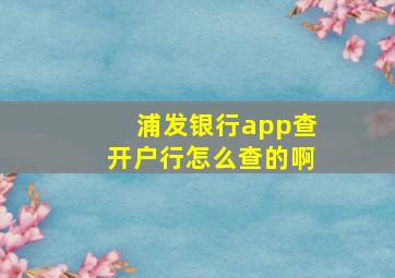 浦发银行app查开户行怎么查的啊