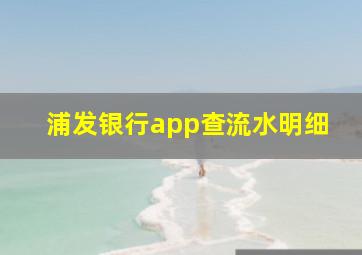 浦发银行app查流水明细