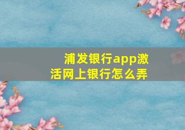 浦发银行app激活网上银行怎么弄