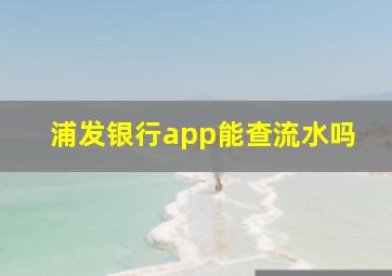 浦发银行app能查流水吗