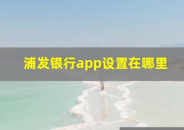 浦发银行app设置在哪里