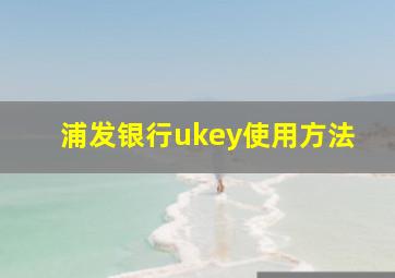 浦发银行ukey使用方法