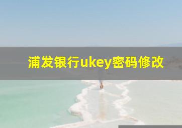 浦发银行ukey密码修改