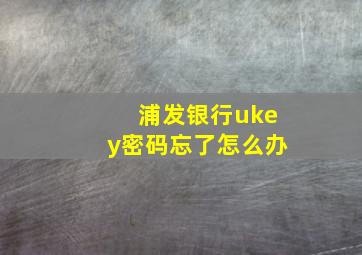 浦发银行ukey密码忘了怎么办