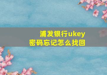 浦发银行ukey密码忘记怎么找回