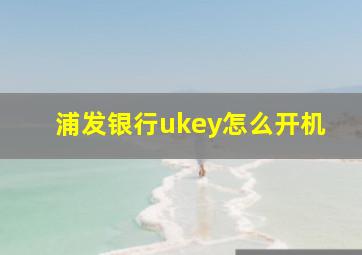 浦发银行ukey怎么开机