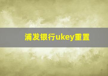 浦发银行ukey重置