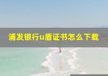 浦发银行u盾证书怎么下载