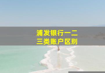 浦发银行一二三类账户区别