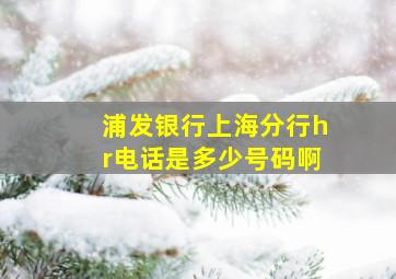 浦发银行上海分行hr电话是多少号码啊