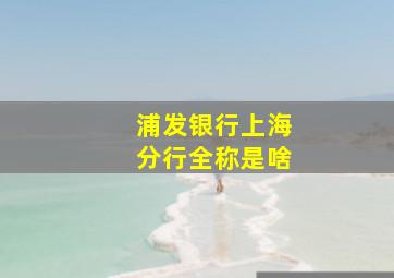 浦发银行上海分行全称是啥