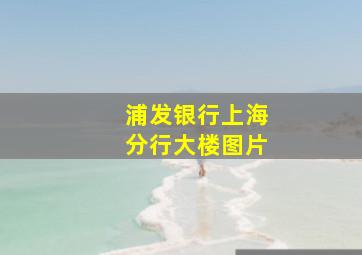 浦发银行上海分行大楼图片