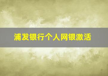 浦发银行个人网银激活