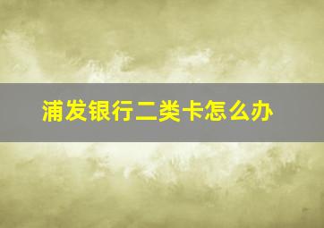 浦发银行二类卡怎么办