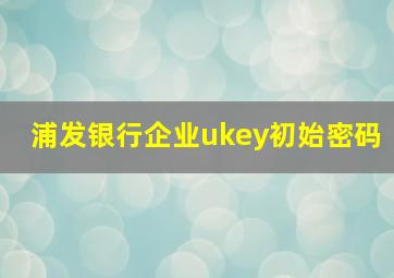 浦发银行企业ukey初始密码