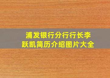 浦发银行分行行长李跃凯简历介绍图片大全