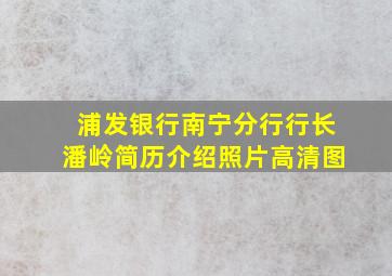 浦发银行南宁分行行长潘岭简历介绍照片高清图