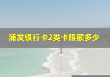 浦发银行卡2类卡限额多少