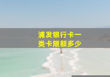 浦发银行卡一类卡限额多少