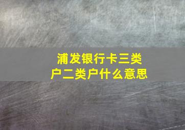 浦发银行卡三类户二类户什么意思