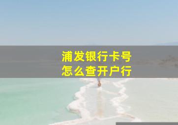 浦发银行卡号怎么查开户行