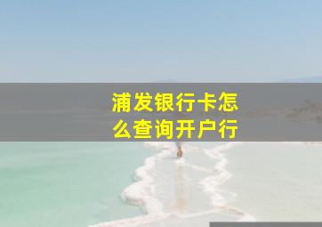 浦发银行卡怎么查询开户行